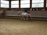 voltitag 2009 _CD2 128